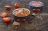 Осетр с овощами и шампиньонами в томатном соусе Гурмения
