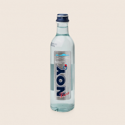 Вода минеральная природная питьевая столовая НОЙ Люкс 0,5л стеклянная бутылка